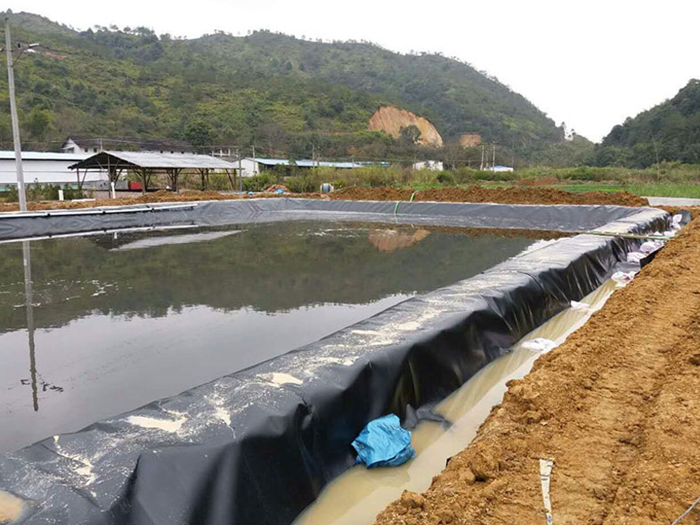 魚(yú)塘里用土工膜做防滲層需不需要回填土壤？